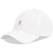 Pet Tommy Hilfiger AW0AW17128