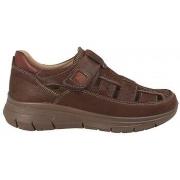 Sneakers Luisetti BASKETS 36111GS
