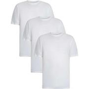 T-shirt Korte Mouw Vans 3-pack klassieke T-shirts