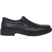 Instappers Ara Largo