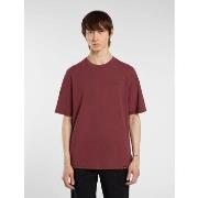T-shirt Korte Mouw Dickies PLENTYWOOD TEE - DK0A866BL161-ANDORRA
