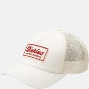Hoed Dickies LEWISTOWN - DK0A4Z6M-C481 EGRET