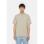 T-shirt Dickies SUMMERDALE SS - DK0A4YA-SS01 SANDSTONE