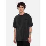 T-shirt Dickies PLENTYWOOD TEE - DK0A866BH861-ACID BLACK