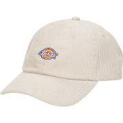 Pet Dickies HARDWICK CORDUROY CAP STONE
