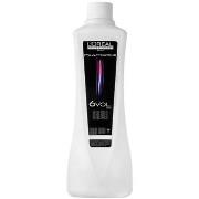 Shampoos L'oréal Loreal L ´Oreal DagcrèmeActivateur 6 Vol 1000ml 1.8 %