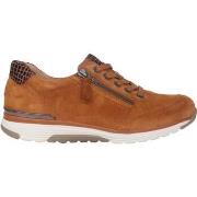 Lage Sneakers Gabor 76.973.01