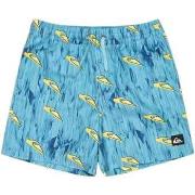 Zwembroek Quiksilver EQBJV03514-BHA4