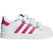 Lage Sneakers adidas BZ0420