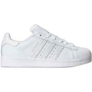 Lage Sneakers adidas AQ1214