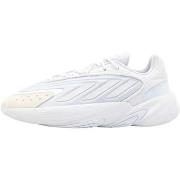 Lage Sneakers adidas H04251