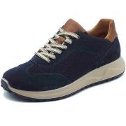 Nette Schoenen IgI&amp;CO 7634733 Scamosciato