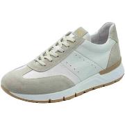 Nette Schoenen NeroGiardini E500651U Velout Sparta