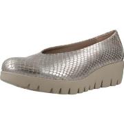 Ballerina's Wonders C33100