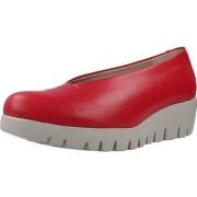 Ballerina's Wonders IRIS