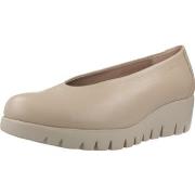 Ballerina's Wonders C33100