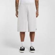 Korte Broek Dickies Streetsboro 13 inch sweat