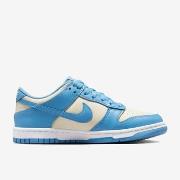 Lage Sneakers Nike Dunk Low Light Silver Sail Light Photo Blue (GS)