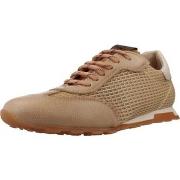 Lage Sneakers Hispanitas HV264596