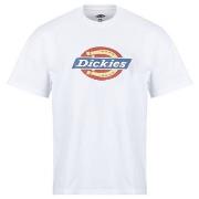 T-shirt Korte Mouw Dickies DICKIES ICON SS TEE WHITE