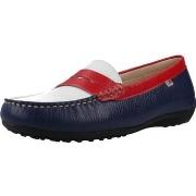 Mocassins Fluchos 2318F