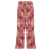 Harembroek Les Petites Bombes DALIDA