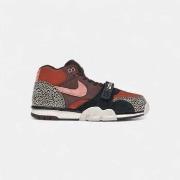 Lage Sneakers Nike SB Air Trainer 1 Arts-Rec Limestone