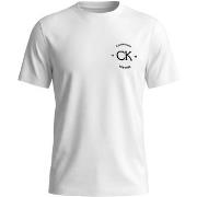 T-shirt Korte Mouw Calvin Klein Jeans LV04RE825G