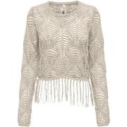 Trui Only Onlleonie Ls Structur Fring Oneck Cc Knt 15362968