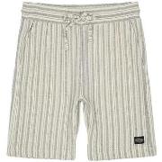 Korte Broek Teddy Smith -