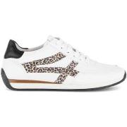 Lage Sneakers Gabor 86.556