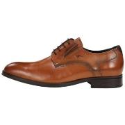 Nette schoenen Fluchos F1887