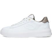 Lage Sneakers Alberto Guardiani GM61046A