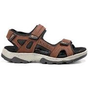 Sandalen Fluchos BASKETS F2410