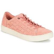 Lage Sneakers Toms LENOX