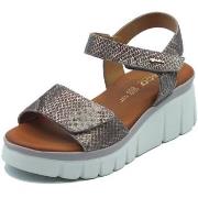 Sandalen IgI&amp;CO 1189533 Scam.