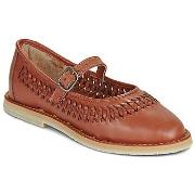 Ballerina's Mapache SOFIA