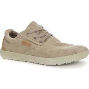 Lage Sneakers Grunberg -
