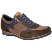 Lage Sneakers Fluchos Daniel F1288