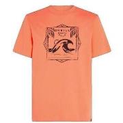 T-shirt Korte Mouw O'neill T-shirt Mix match Wave