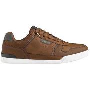 Lage Sneakers Kappa Baskets basses Lenom marron