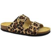 Slippers Plakton PLA-E26-180010-CA