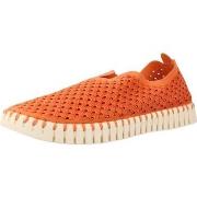 Instappers Ilse Jacobsen Sport Zapatillas Mujer Modèle Tulip