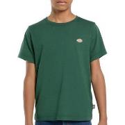 T-shirt Korte Mouw Dickies -