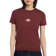 T-shirt Korte Mouw Dickies -