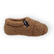 Pantoffels Verbenas yale nairobi