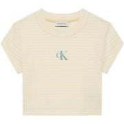 T-shirt Korte Mouw Calvin Klein Jeans Striped Monologo Bab