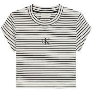 T-shirt Korte Mouw Calvin Klein Jeans Striped Monologo Bab