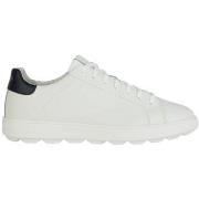 Lage Sneakers Geox Sneakers / Sport--H-U45GPA0009B