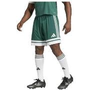 Korte Broek adidas Short Squadra 25 vert